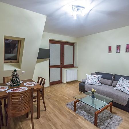 Apart4You Apartament Meteor ザコパネ エクステリア 写真