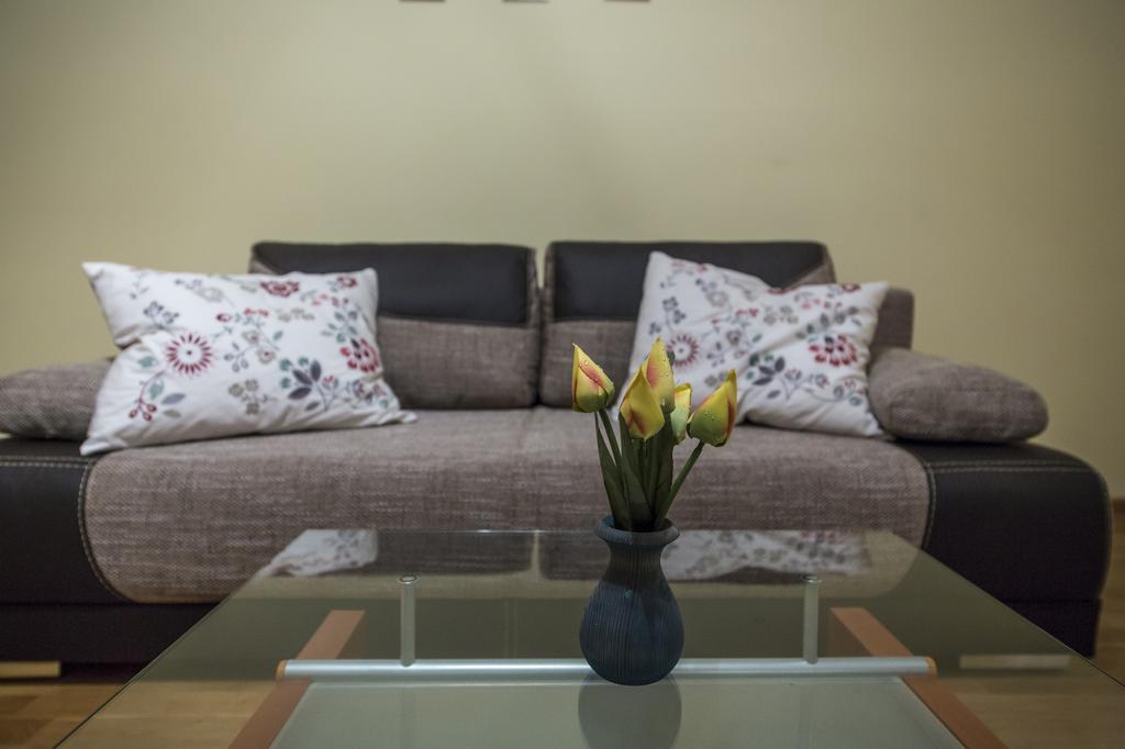 Apart4You Apartament Meteor ザコパネ エクステリア 写真